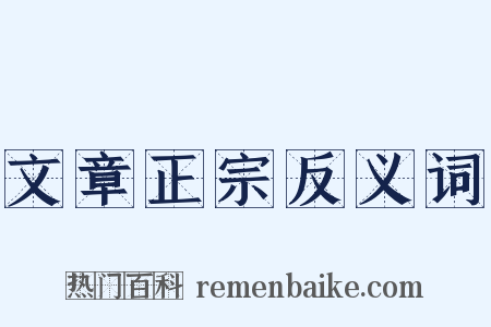 文章正宗反义词是什么意思的图片